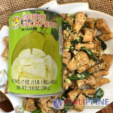 Tas Young Green Jack Fruit 565g