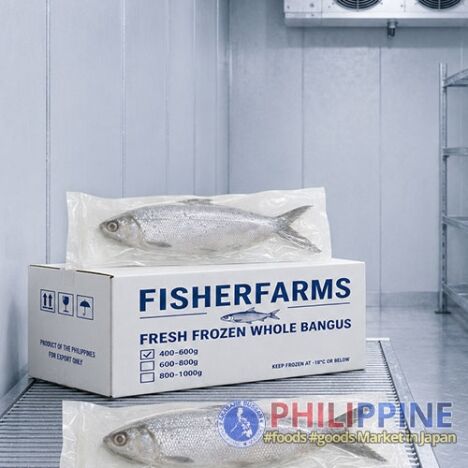 Fisherfarms Fresh Frozen Whole Bangus 1case 19-22pcs
